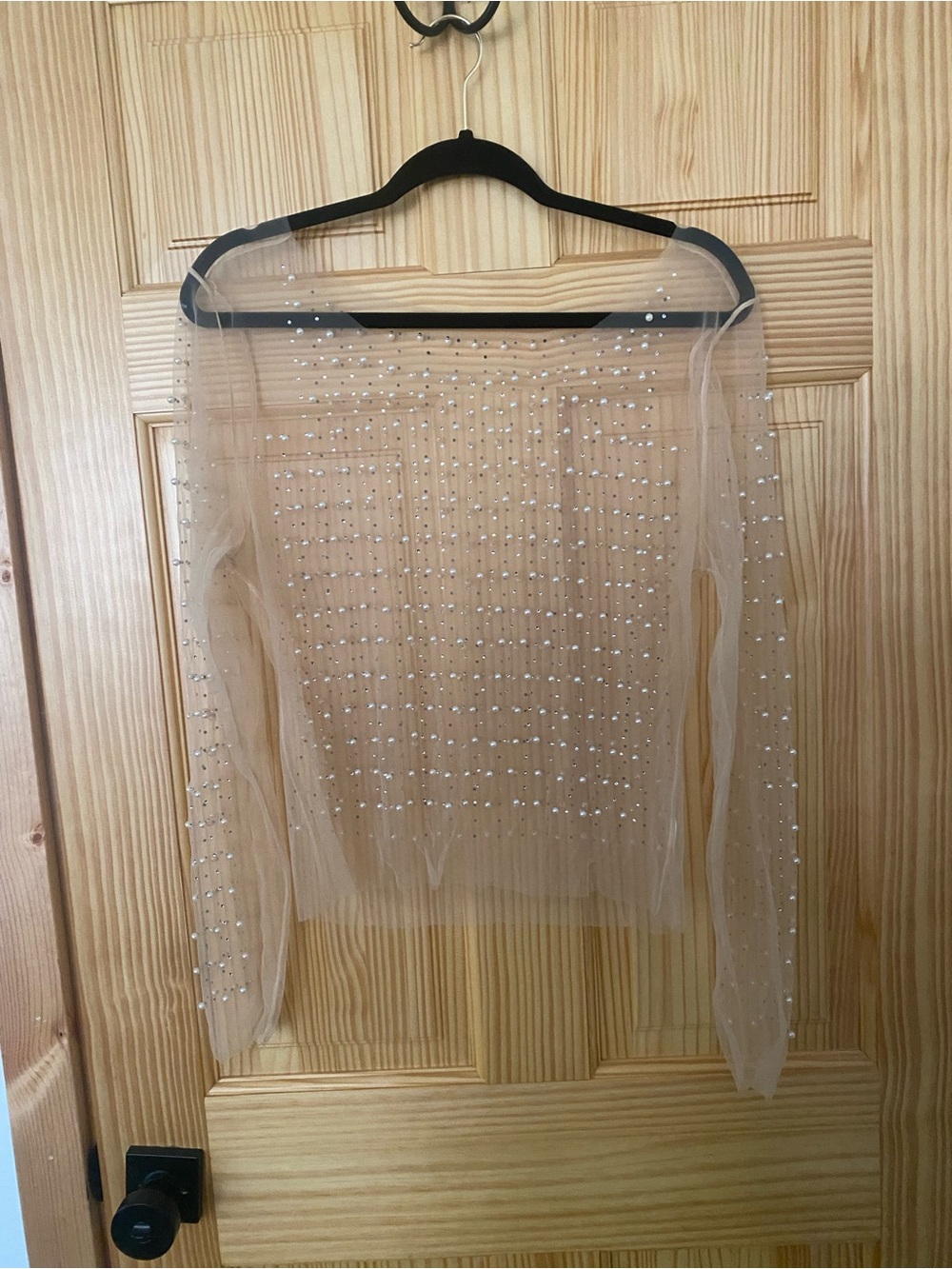 Sheer Beaded Mesh Long Sleeve Top - Nude